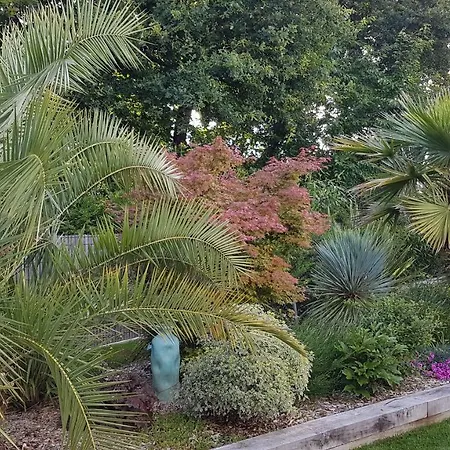 Cap Ostrea Apartmán