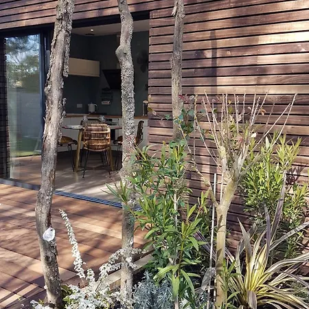 Cap Ostrea Apartment Andernos-les-Bains