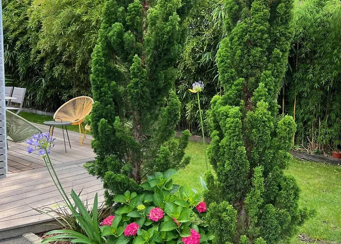 Cap Ostrea Apartman *